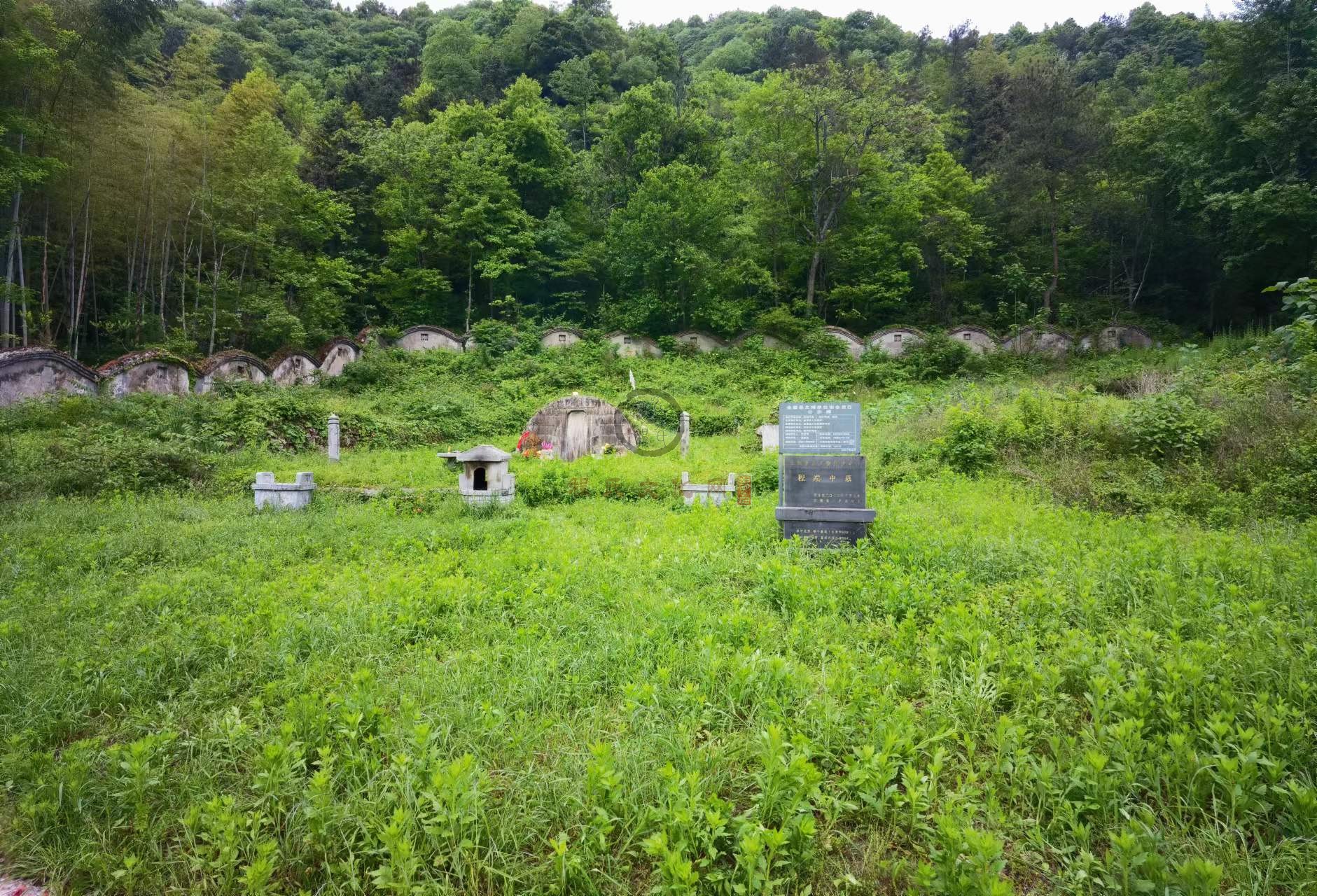 微信图片_20240603080104.jpg