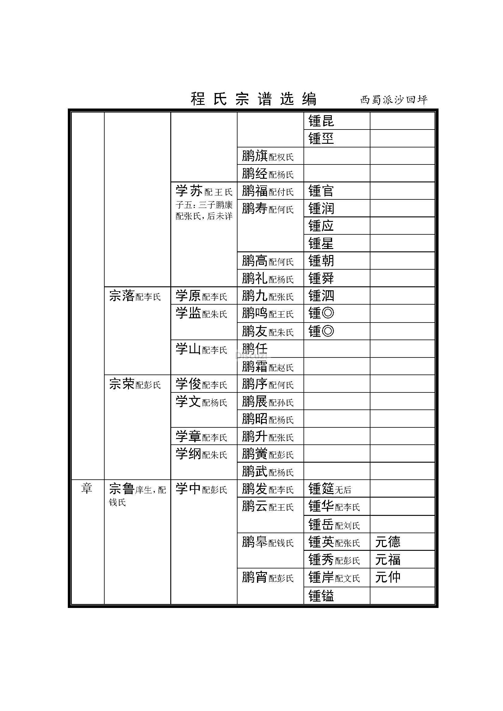 西蜀沙回坪支系  (13).jpg