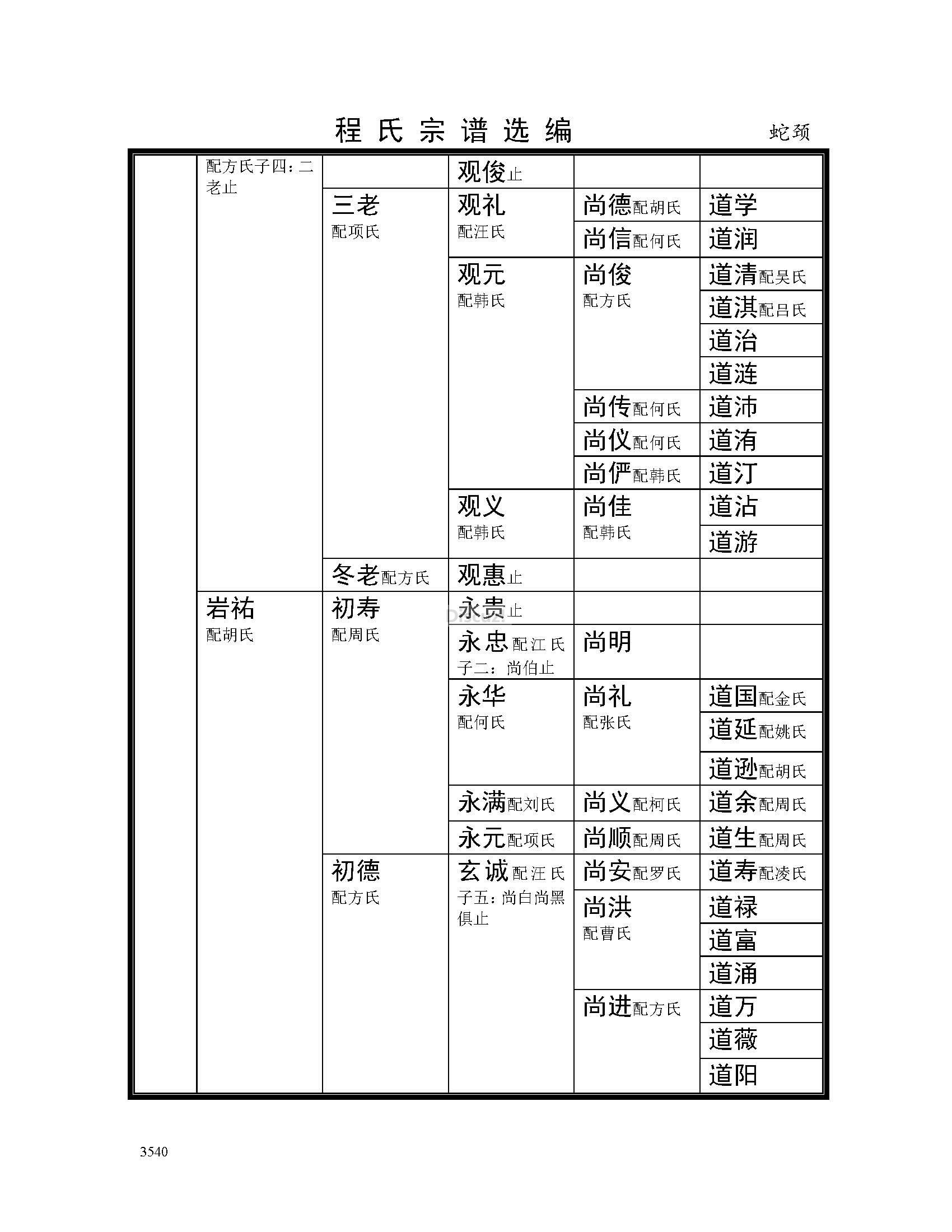 岩镇庙前支系 (6).jpg