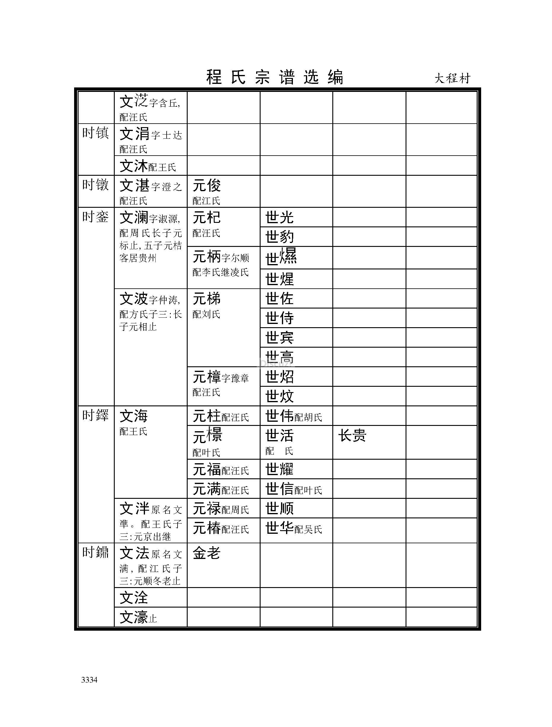 大程村支系 (15).jpg