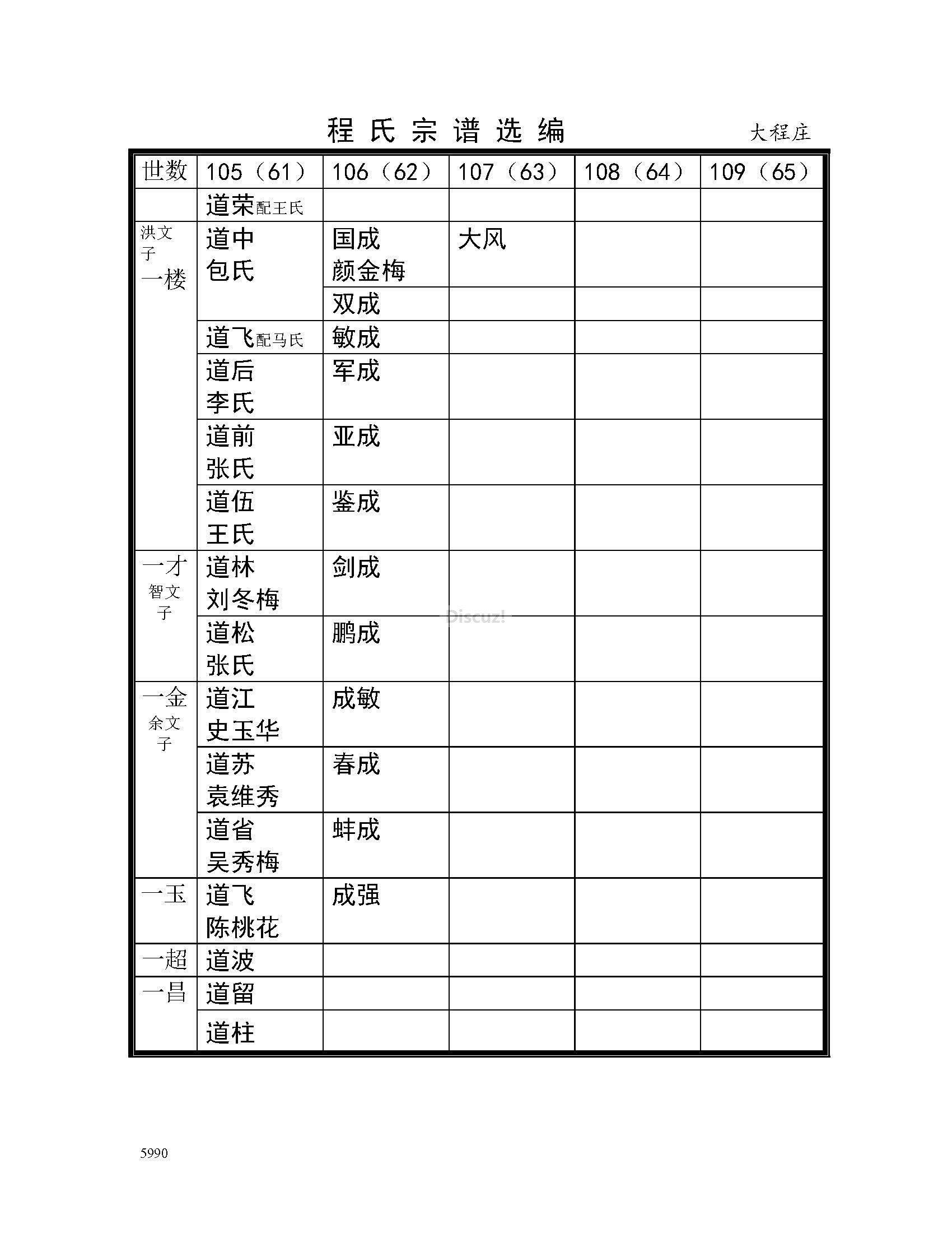 大程庄支系 (17).jpg