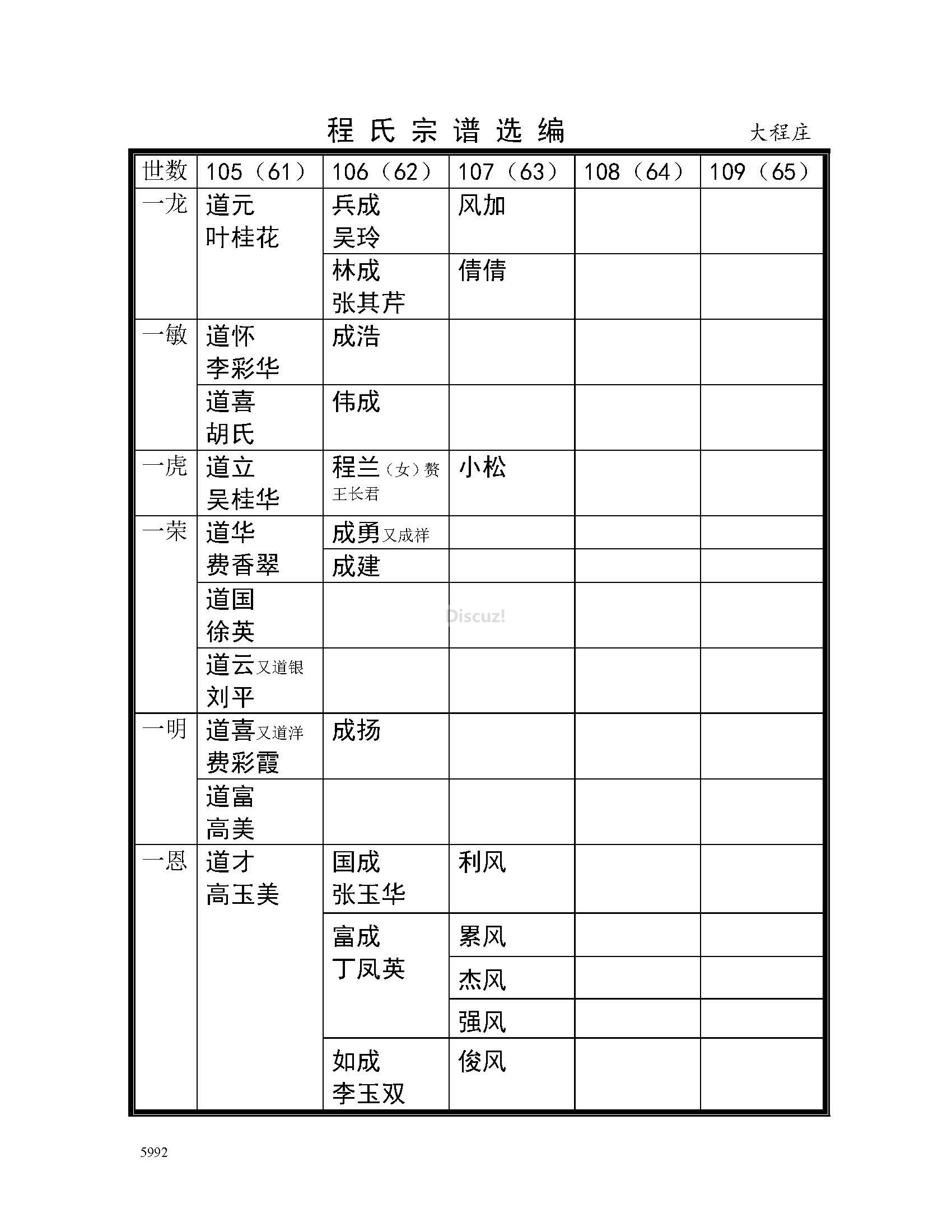 大程庄支系 (19).jpg