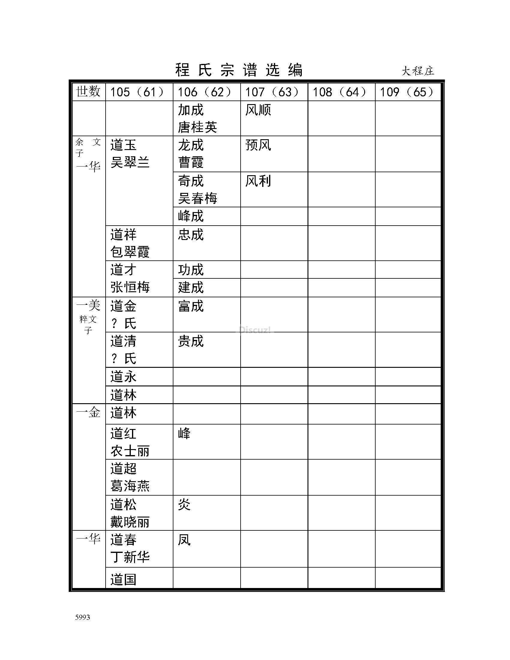 大程庄支系 (20).jpg