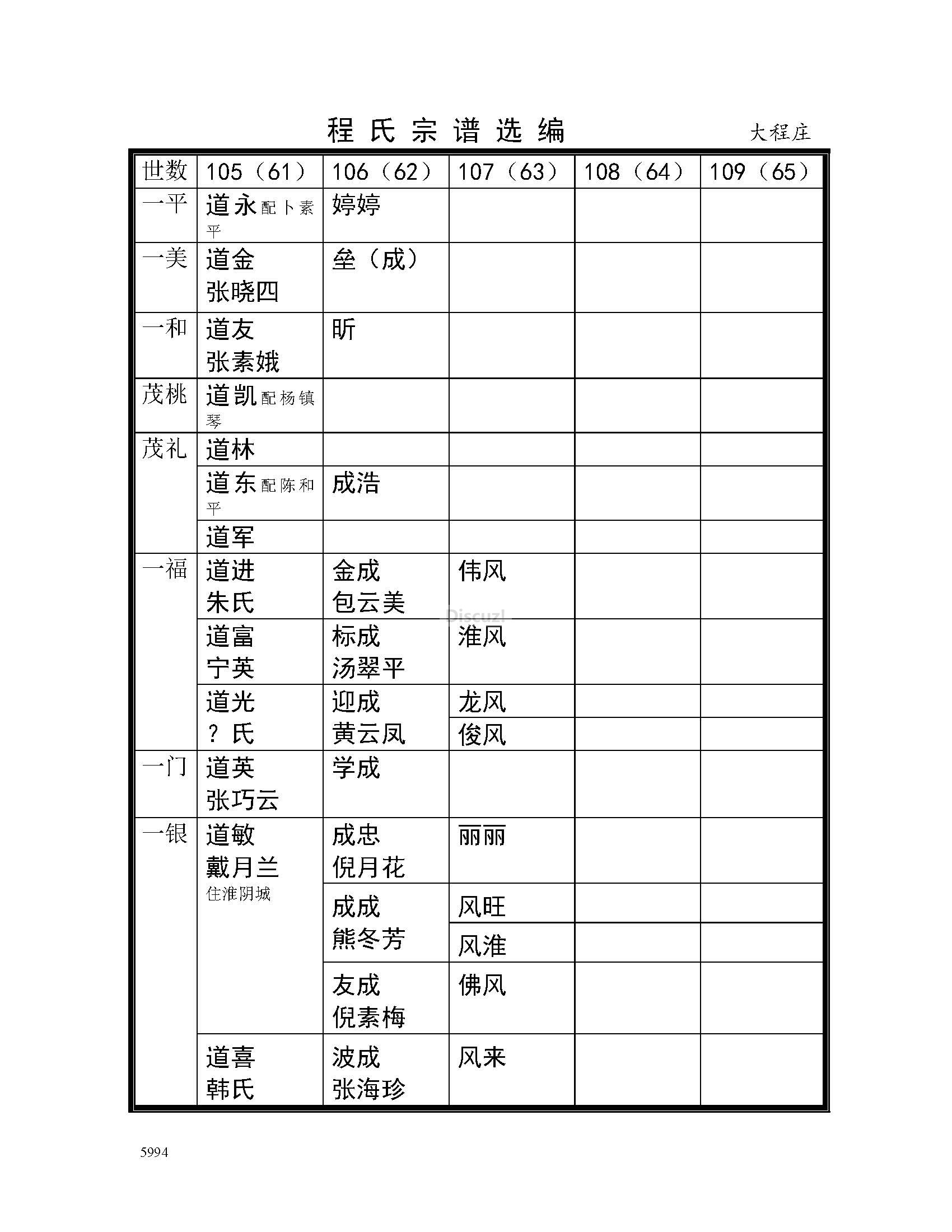 大程庄支系 (21).jpg