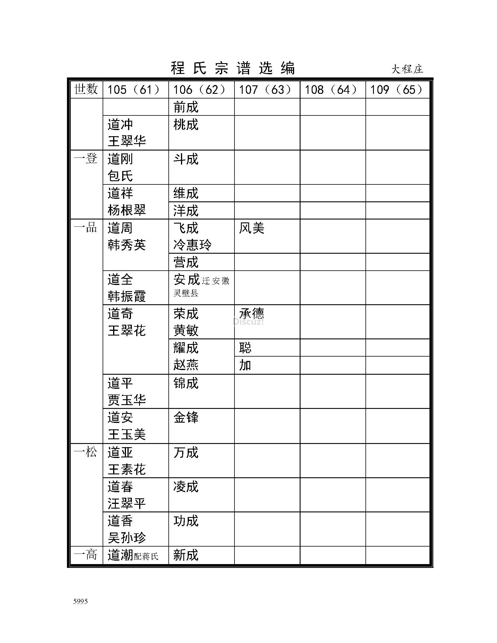 大程庄支系 (22).jpg