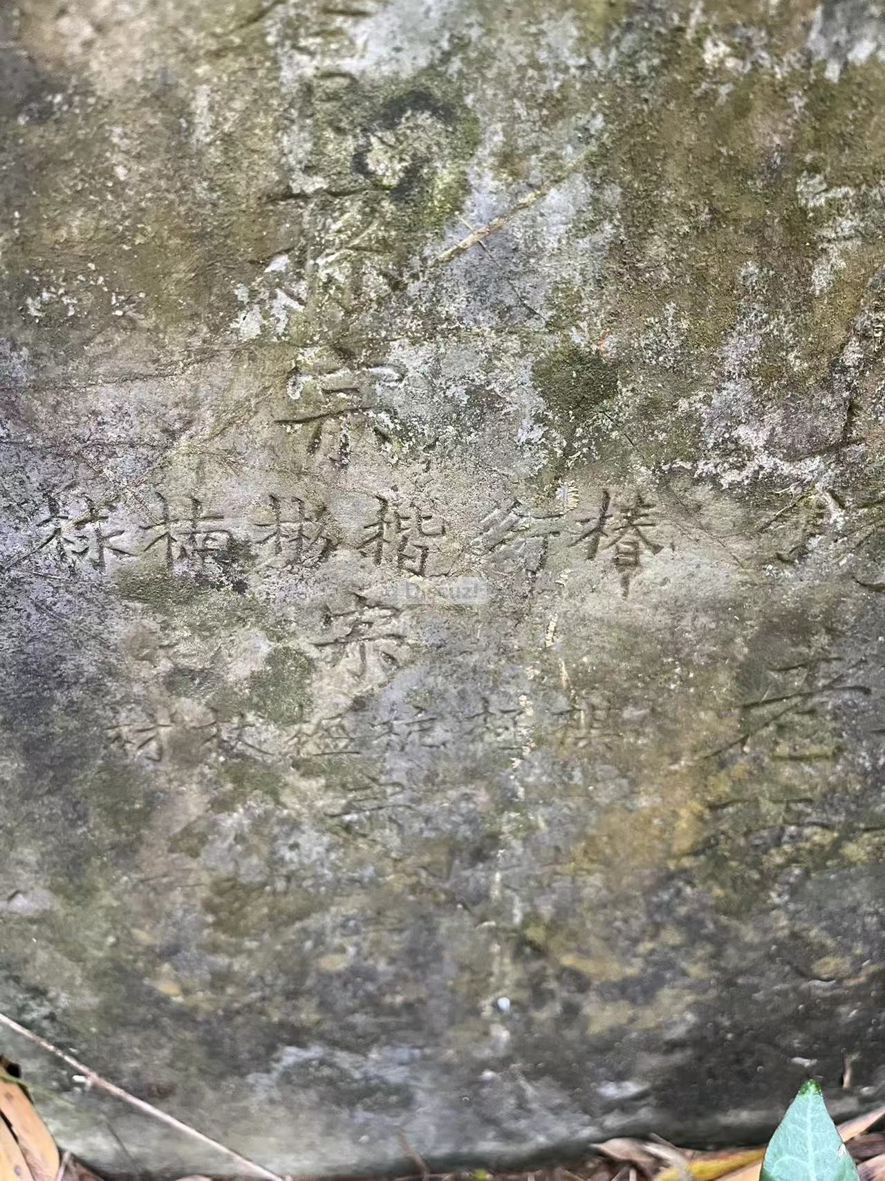 微信图片_20240928100120.jpg