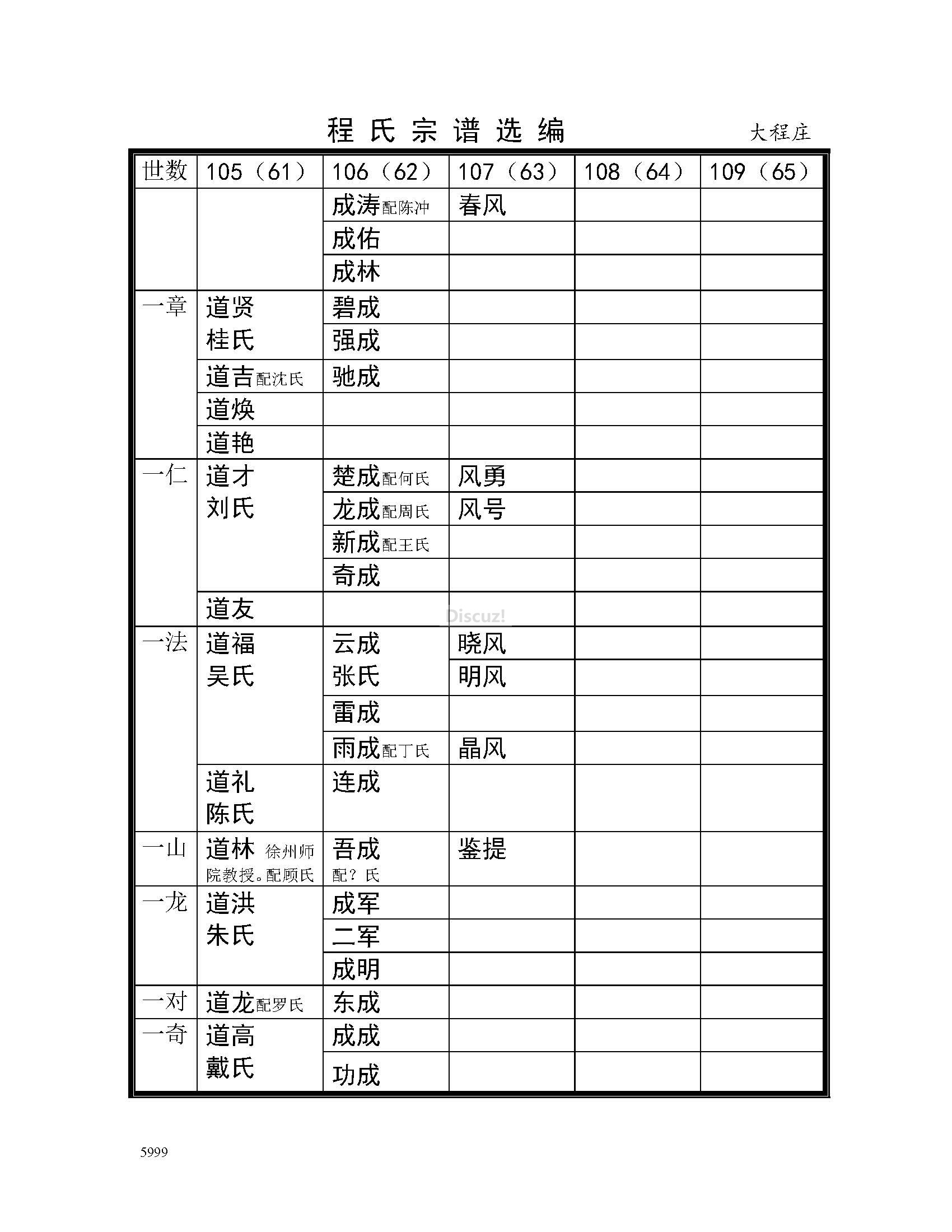 大程庄支系 (26).jpg
