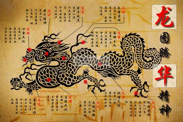 龙图腾.jpg