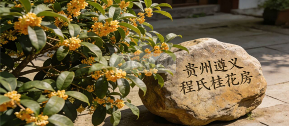 桂花房名片文.png